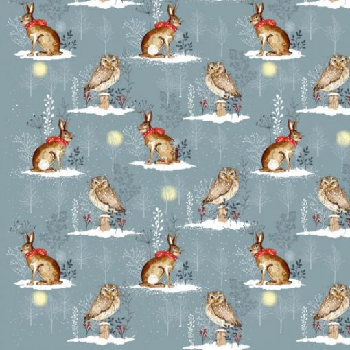 winter hare and owl