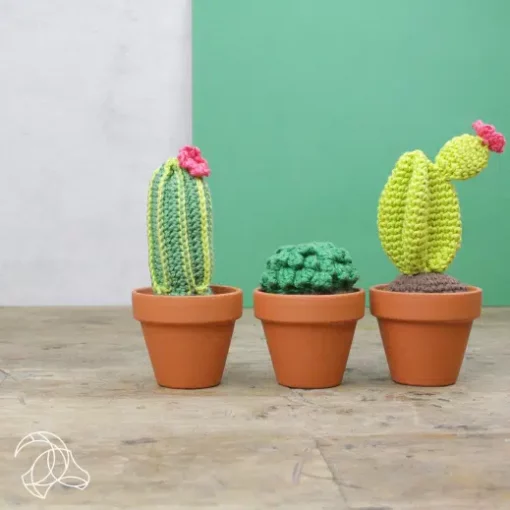 Hardicraft Cacti crochet kit