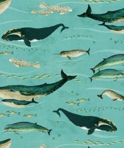 whales and sea creatures in turquoise ocean