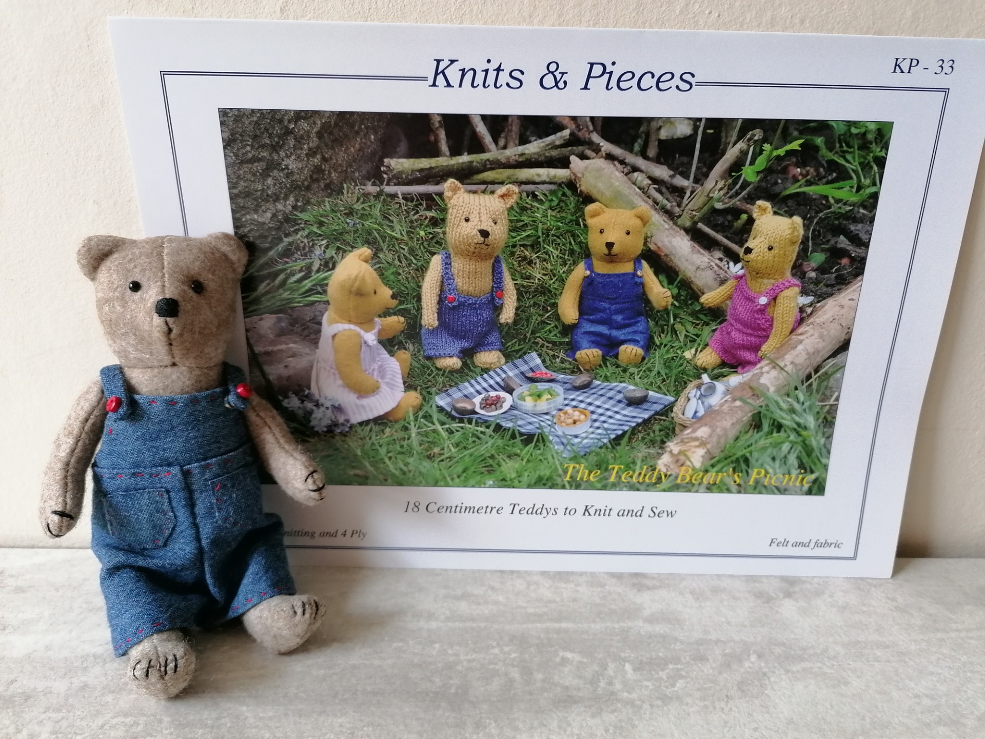 Teddy Bear's Picnic Pattern
