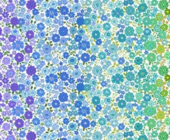 Boho Blooms Ombre Cotton Fabric