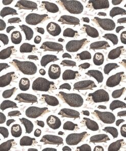 super cute cartoon hedgehogs in a variety of positions on a white ground