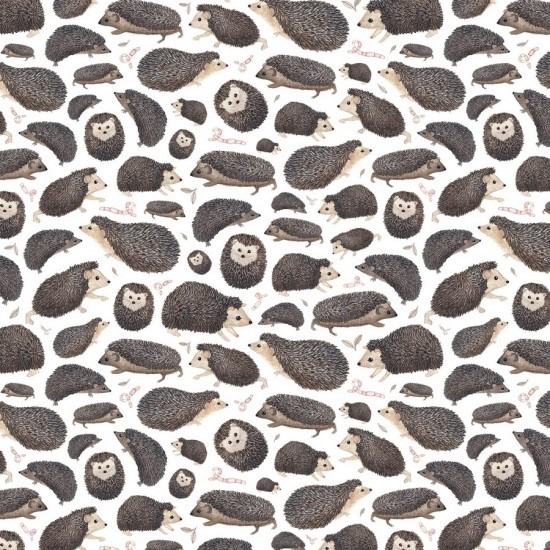 super cute cartoon hedgehogs in a variety of positions on a white ground
