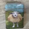 one side of tin showing a felted sheep