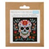 packet of skull cross stitch kit